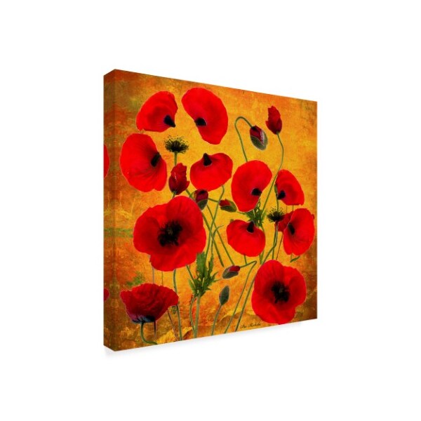 Ata Alishahi 'Poppy Flowers 2' Canvas Art,18x18